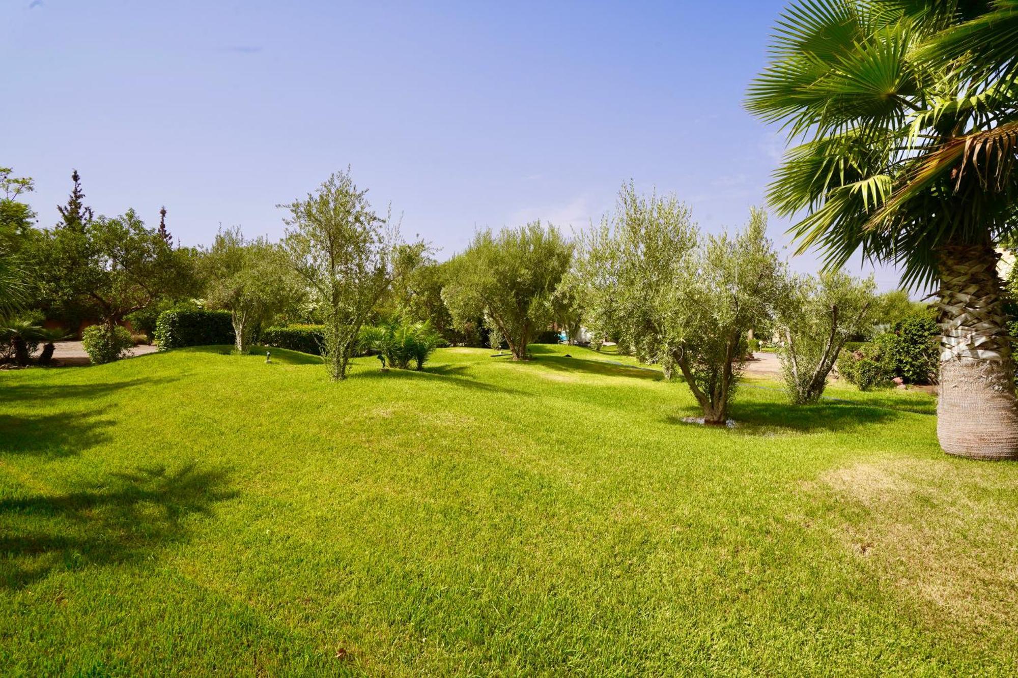 Ourika Camp Suites Hotel & Resort El Harkat Dış mekan fotoğraf