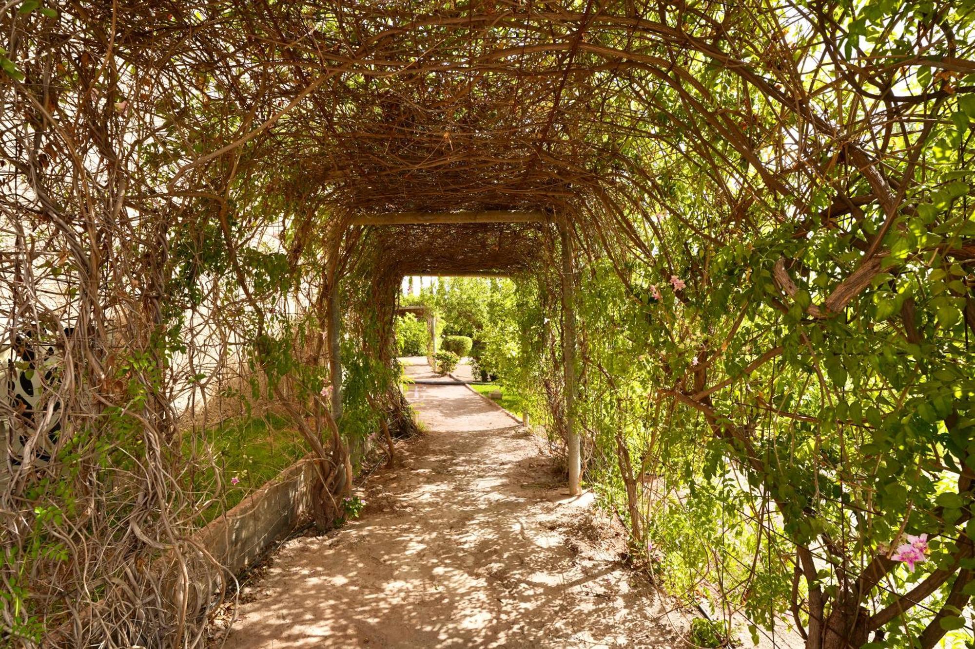 Ourika Camp Suites Hotel & Resort El Harkat Dış mekan fotoğraf